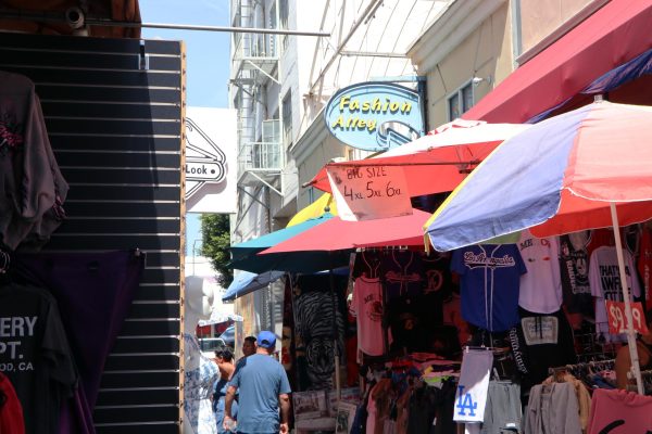 Fashion Alley in Downtown Los Angeles does not bustle with as many people as it used to. Recent ICE raids have created fear and left more store owners without customers. Store owner Santiago Rodriguez has felt the impact of lower sales. "Well, people are scared," Rodriguez said. "When people notice immigration around these places — well, people, more than anything, in businesses and small businesses, people stop coming."